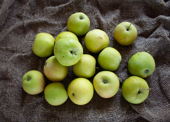 Ripe apples on burlap