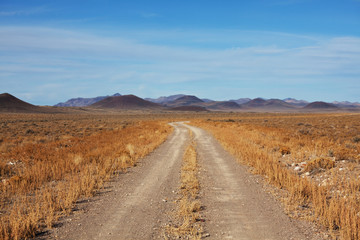 Road in prairie