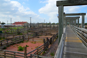 Fototapeta na wymiar Forth Worth Historic Stockyards