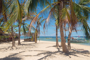 Fototapeta na wymiar Sunny beach with palms on Luli Island, Honda bay, Palawan, Philippines