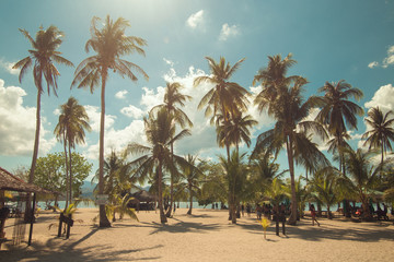 Sunny beach with palms on Luli Island, Honda bay, Palawan,  Philippines