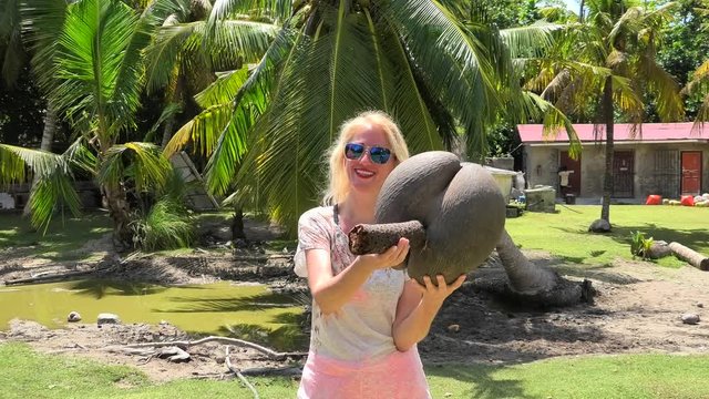 fanny tourist woman playing with Lodoicea Maldivica nut male and female, the coco de mer or sea coconut at Curieuse Island in Seychelles. The coco de mer is endemic to Praslin and Curieuse.