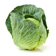 cabbage on white background