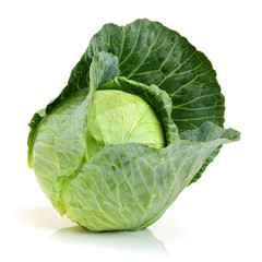 cabbage on white background
