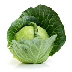 Fototapeta premium cabbage on white background