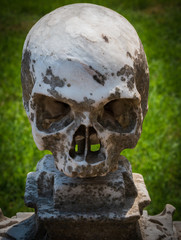 Cr&acirc;ne &agrave; San Martino Vomero Napoli 001