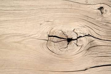 Timber vintage old wood texture and background surface.