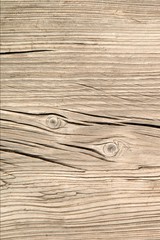 Fototapeta premium Timber vintage old wood texture and background surface.