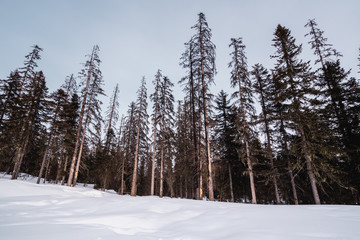 Winter mountain landscape with white snow and blue sky