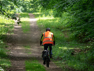 cyclist far away in the forest
