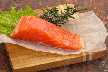 Piece of raw salmon