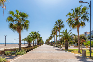 Fototapeta na wymiar Promenade alley with palm trees in Limassol, Cyprus
