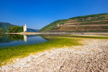 Der Mäuseturm bei Bingen am Rhein bei Niedrigwasser