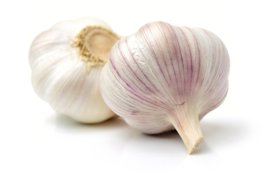 fresh garlic isolated on white background 