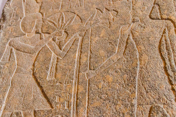 Ancient egyptian paintings and hieroglyphs carved on the stone wall
