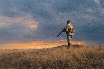 Silhouette of a hunter with a gun in the reeds against the sun, an ambush for ducks with dogs