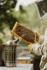 beekeeper at work