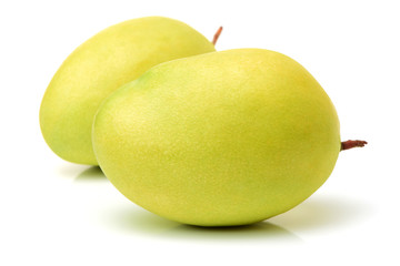 mangos on white background 