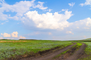 Fototapeta na wymiar the road in the field against the white clouds, summer landscape in the village, country road