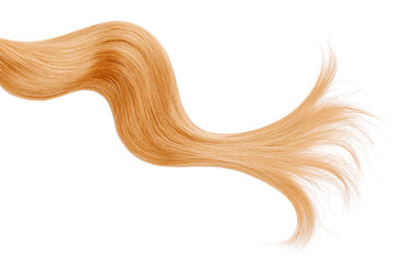 Golden blond hair isolated on white background. Long wavy ponytail