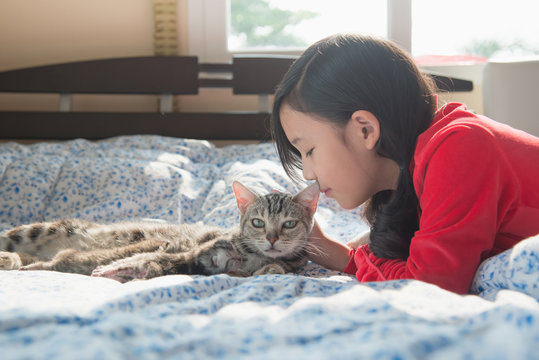 asian girl playing with american short hair cat on the bed