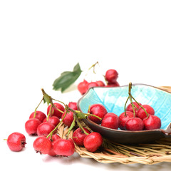 Hawthorn on white background 