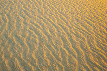 Fototapeta na wymiar Dawn light on the sand ripples 