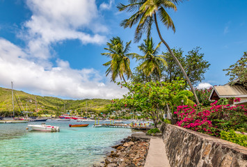 Beautiful landscape of Bequia with palm trees along the waterfront. - obrazy, fototapety, plakaty