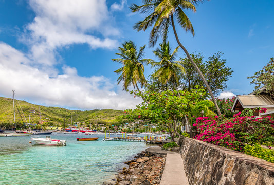Beautiful landscape of Bequia with palm trees along the waterfront.