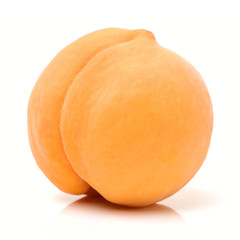 Gold Peach on a white background