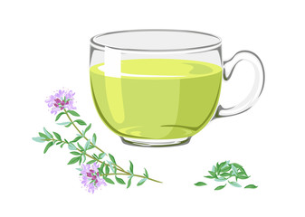 Tea with thyme and branch of medicinal plants with flowers. Tonic herbal drink in glass cup isolated on white background. Vector illustration of  healing infusion in cartoon flat style.
