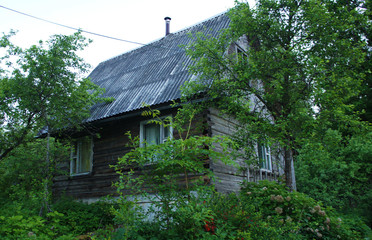 Fototapeta na wymiar The old house is hidden in the green forest and bushes.