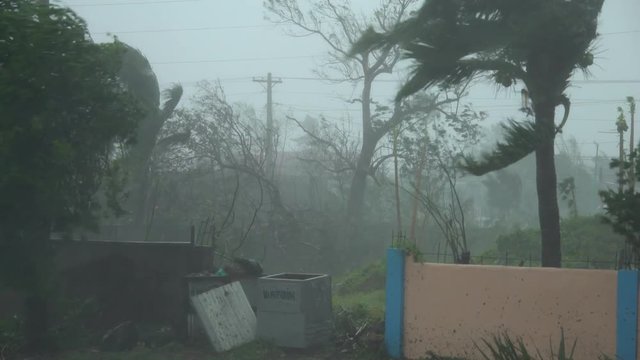 Powerful Hurricane Wind And Rain Smash Town