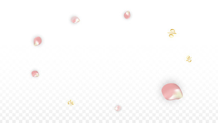 Vector Spring or Summer Sale Background with Petals and Percent for Template Design. Good for Special Hot Holiday Discount Offer, Black Friday, Fashion Promotion Action. Romantic Sakura Illustration
