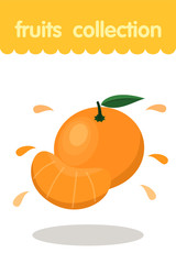 Fruit illustration. Flat style icon. Mandarin vector cartoon design, EPS 10 editable vector.