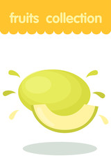 Fruit illustration. Flat style icon. Melon vector cartoon design, EPS 10 editable vector.