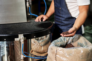 Close-up of man standing near the roasting machine and taking a handful of cofee beans from the bag on coffee factory