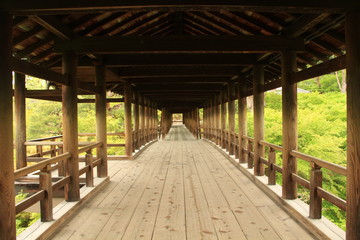 Japanese Bridge over forest