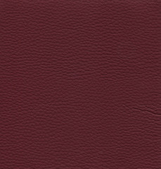Fototapeta premium An image of a nice leather background. Cowhide texture.