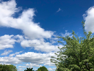 Fast moving fluffy clouds on a bright day