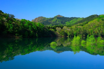 Fototapeta na wymiar 新緑の錦秋湖