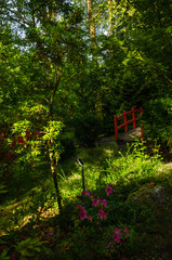 Japanese garden with red bridge