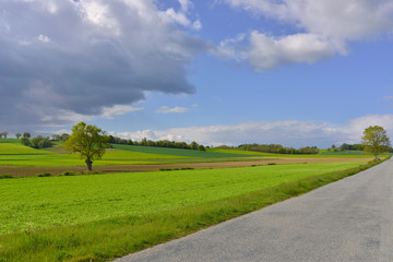 Route de campagne dans le département de l'Allier en région Auvergne-Rhône-Alpes, France