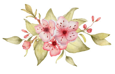 Naklejka premium Sakura flowers watercolor illustration. Blossom petal bouquet 