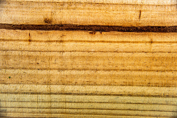 Closeup light brown pine wood surface with natural texture, soft wooden background