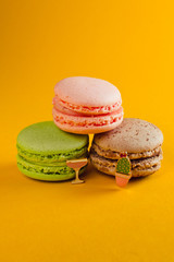macaroon arranged in beautiful composition on a  yellow background