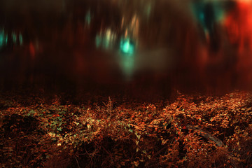 Scary forest with leaves and blur background