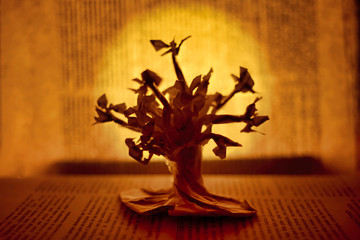 Paper tree in a book backlighting illuminated