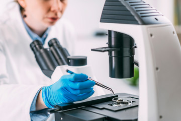 Archeology Scientists Analyzing Charred Wood Under the Microscope