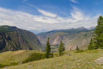 Fototapeta premium Valley of the river, top view. Altay mountains. Summer sunny day.